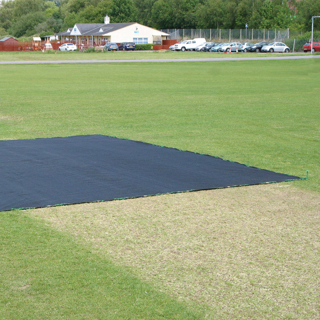 termination sheet pinned to grass
